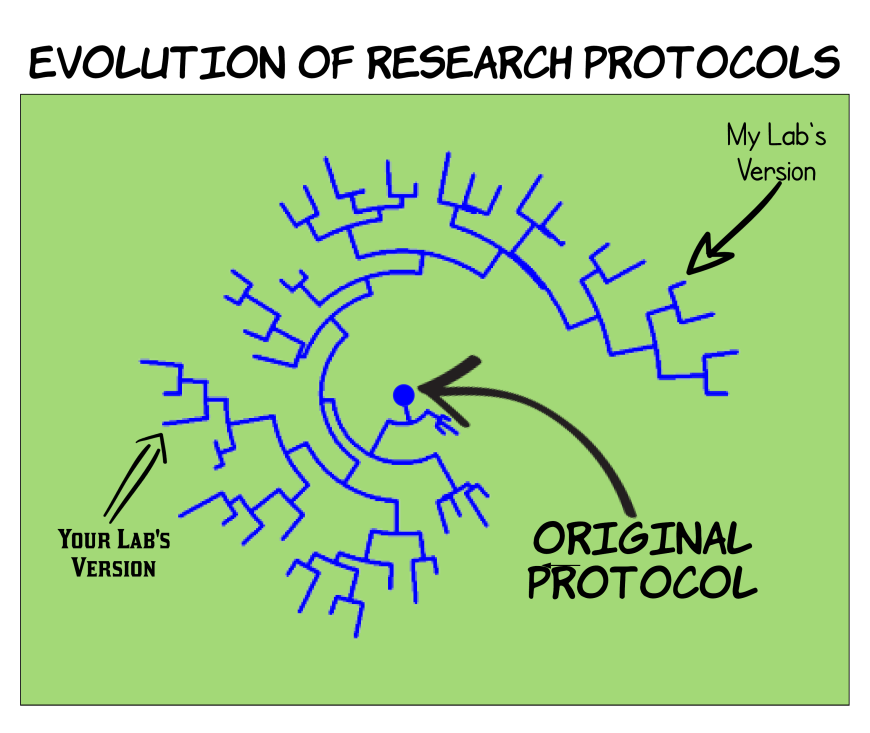 Protocol Evolution.png